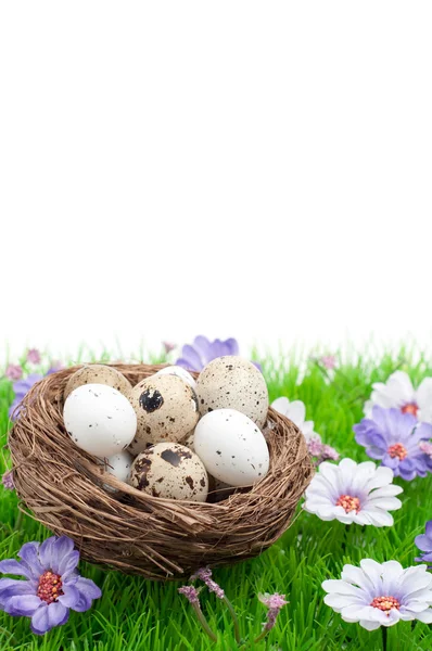 Easter eggs — Stock Photo, Image