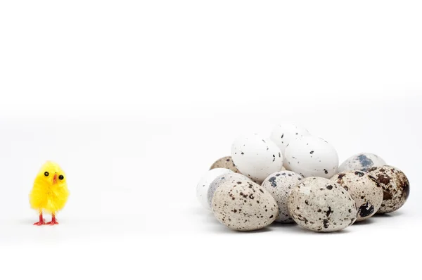 Verschillende types van eieren — Stockfoto