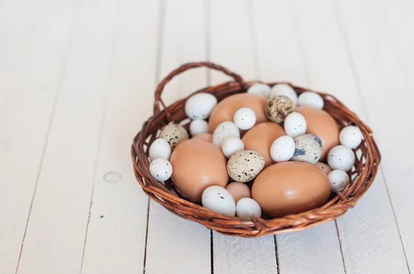 Diferentes tipos de huevos — Foto de Stock