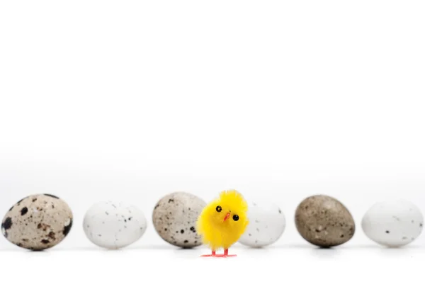 Verschillende types van eieren — Stockfoto