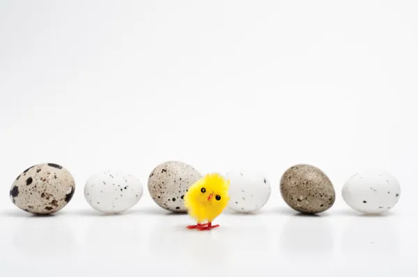 Różne rodzaje jaj — Zdjęcie stockowe