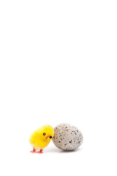 Easter chicks geïsoleerd op wit — Stockfoto