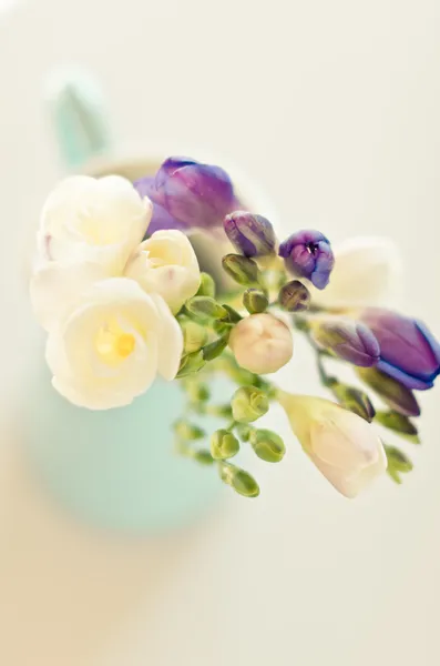 Bouquet — Photo