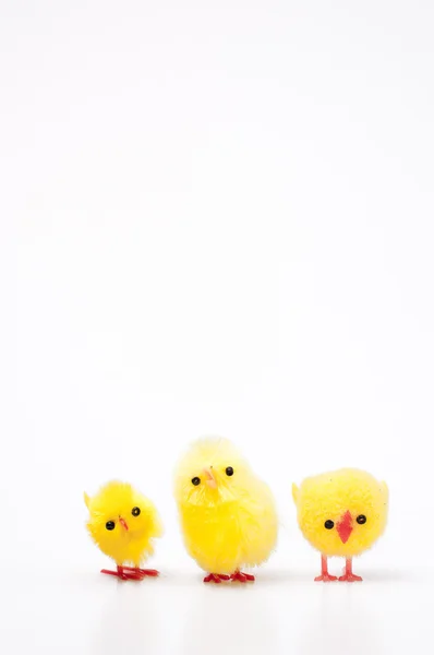 Easter chicks geïsoleerd op wit — Stockfoto