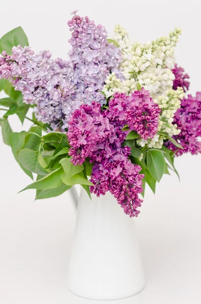 Virágzó virág lila orgona — Stock Fotó