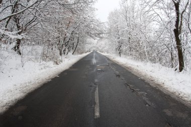 kış yolu