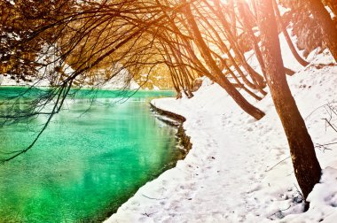 donmuş nehir ve ağaçları kış sezonu