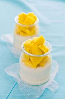 Panna cotta mango tatlı sos ile