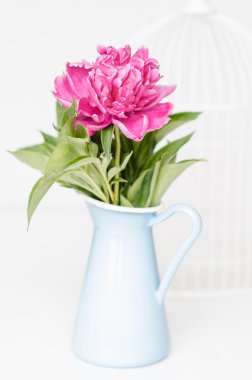 Vazodaki pembe çiçekler.