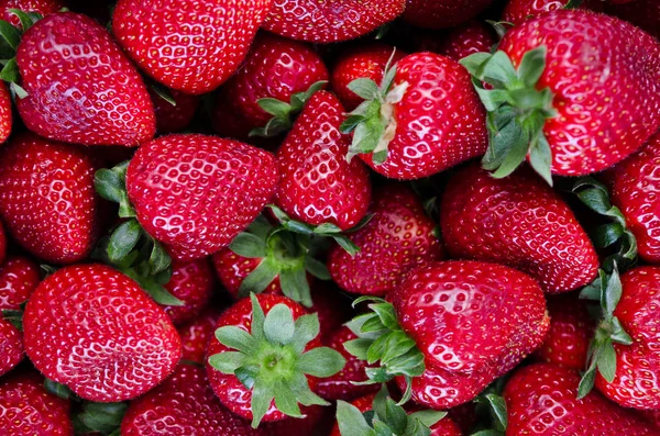 Frische Erdbeere Hintergrund — Stockfoto