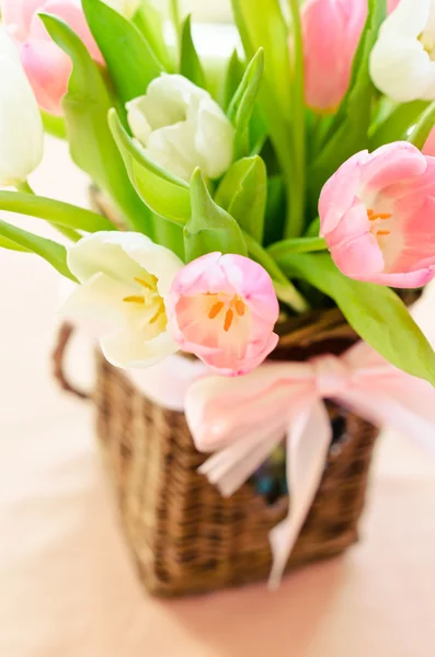 Růžové a bílé tulipány na bílém pozadí — Stock fotografie