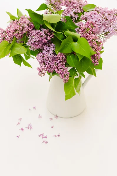 Beautiful bunch of lilac in the vase — Stock Photo, Image