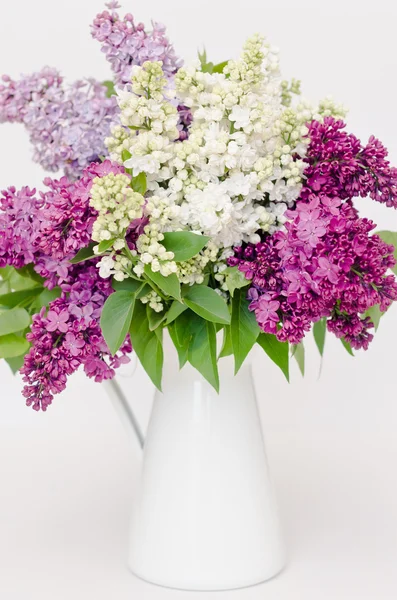 Beautiful bunch of lilac in the vase — Stock Photo, Image