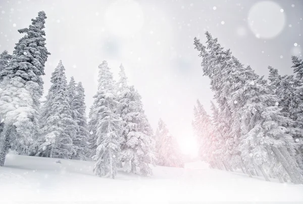 Winterlandschaft — Stockfoto