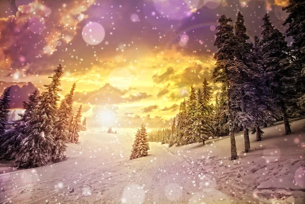 Winter landscape — Stock Photo, Image