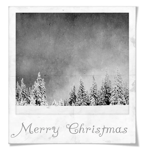 Paisaje de invierno en marco de fotos instantáneo con texto de Feliz Navidad — Foto de Stock