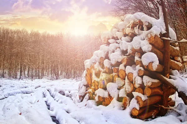 Vete fält och moln — Stockfoto