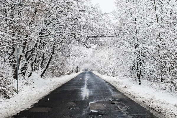 Estrada de inverno — Fotografia de Stock