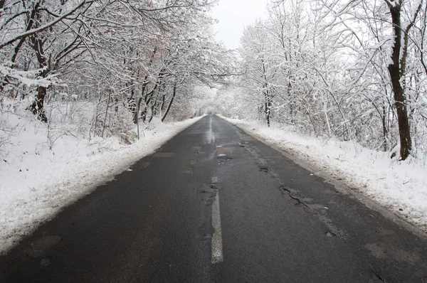 Kış yolu — Stok fotoğraf