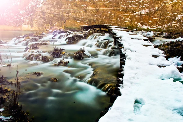 Rivière et arbres gelés en hiver — Photo