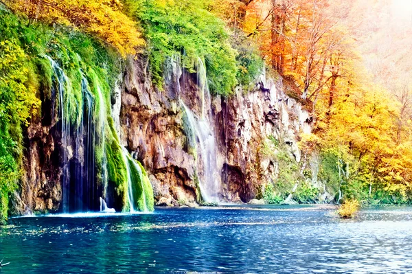 Otoño en el bosque — Foto de Stock