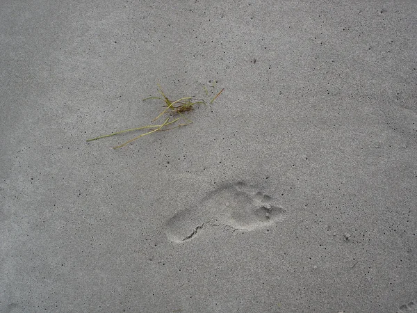 Singel footprint on sand beach — Stock Photo, Image