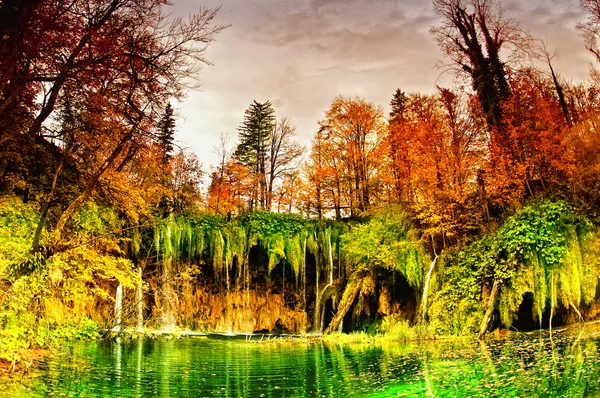 Herfst in het bos — Stockfoto