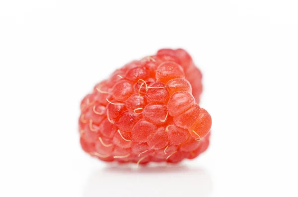 Ripe red raspberry on white background — Stock Photo, Image