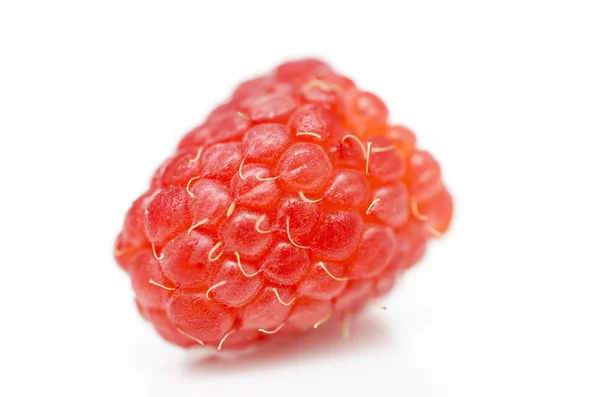 Ripe red raspberry on white background — Stock Photo, Image