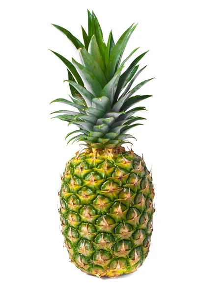 Rijp ananas — Stockfoto