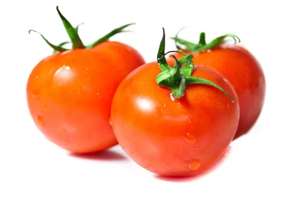 Frische rote Tomaten isoliert auf weißem Hintergrund — Stockfoto