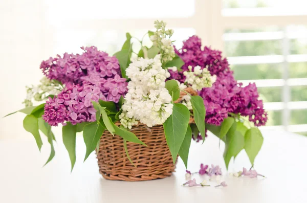 Lovely lilac in a basket — Stock Photo, Image