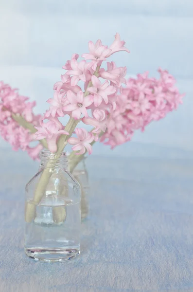 꽃병에 분홍색 꽃의 꽃다발 — 스톡 사진