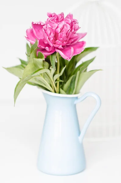 Fiori rosa in un vaso — Foto Stock