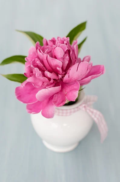Pink flowers in a vase — Stock Photo, Image