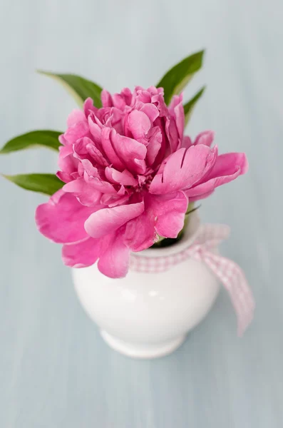 Flores rosa em um vaso — Fotografia de Stock