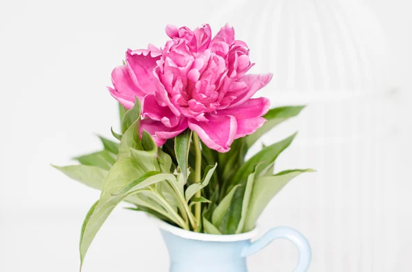 Rózsaszín virágok egy vázában — Stock Fotó