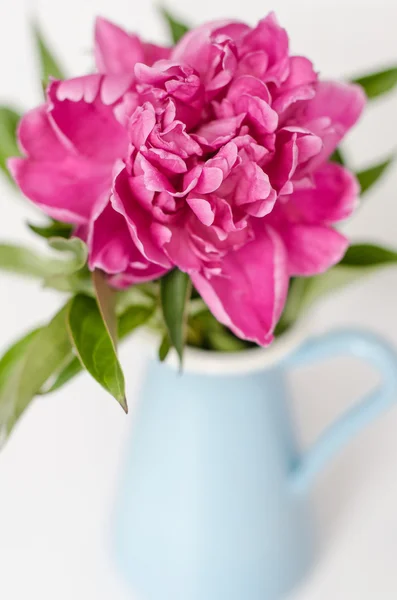 Flores rosa em um vaso — Fotografia de Stock