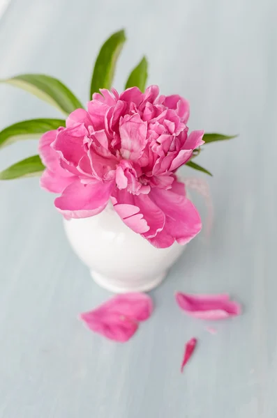 꽃병 속의 분홍빛 꽃들 — 스톡 사진