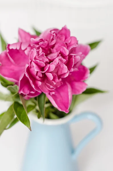 Roze bloemen in een vaas — Stockfoto