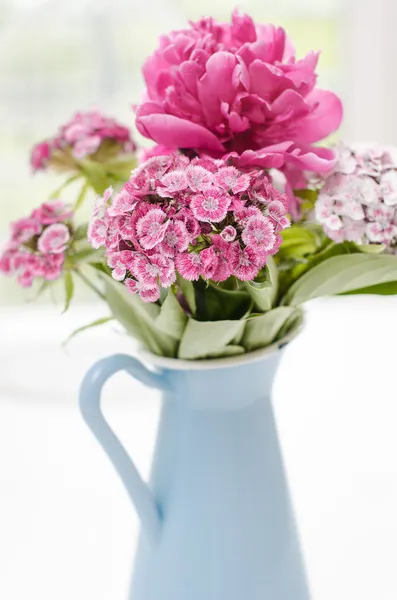 Pink flowers in a vase — Stock Photo, Image