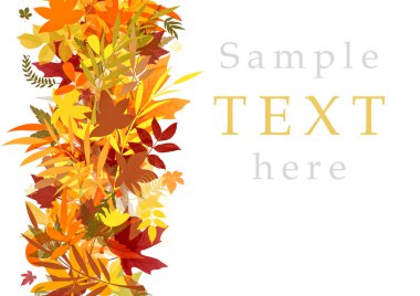 Sarı sonbahar yaprakları