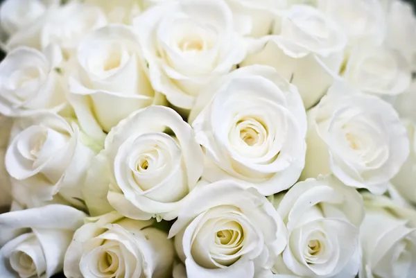 Wedding flowers — Stock Photo, Image