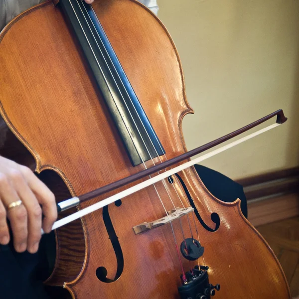 Cello musical instrument cellist musician playing. — Stock Photo, Image