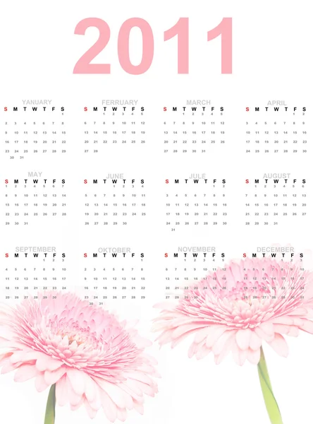 Calendar for 2011. year — Stock Photo, Image