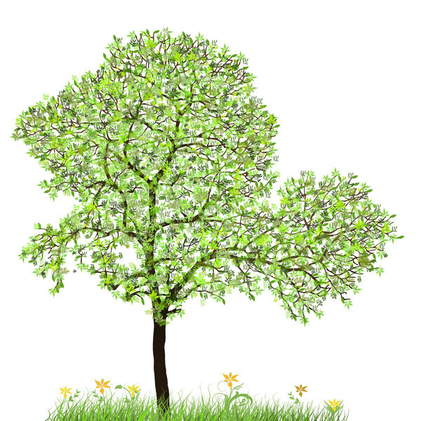 Summer tree with white background