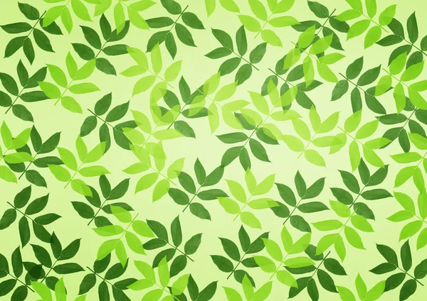 Leaf background — Stock Photo, Image