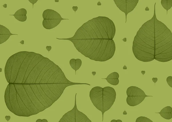 Leaf background — Stock Photo, Image