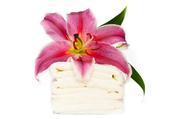 Flower and towels — Stock Photo, Image