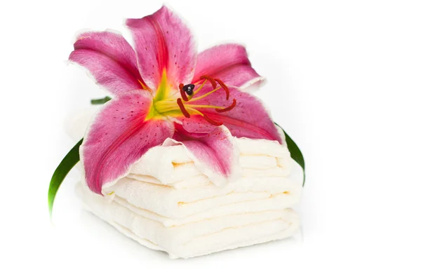 Fiori e asciugamani — Foto Stock